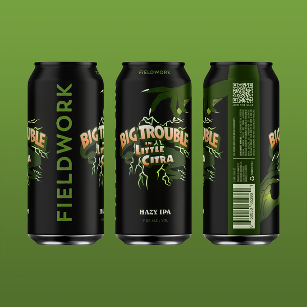 Big Trouble In Little Citra IPA - 4-pack of 16oz Cans